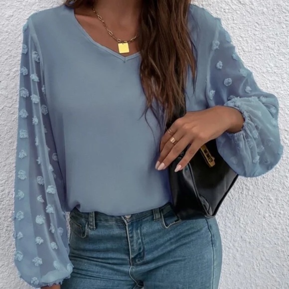 Swiss Dot Sheer Sleeve V neck Minimalist Top - Picture 12 of 13